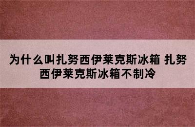 为什么叫扎努西伊莱克斯冰箱 扎努西伊莱克斯冰箱不制冷